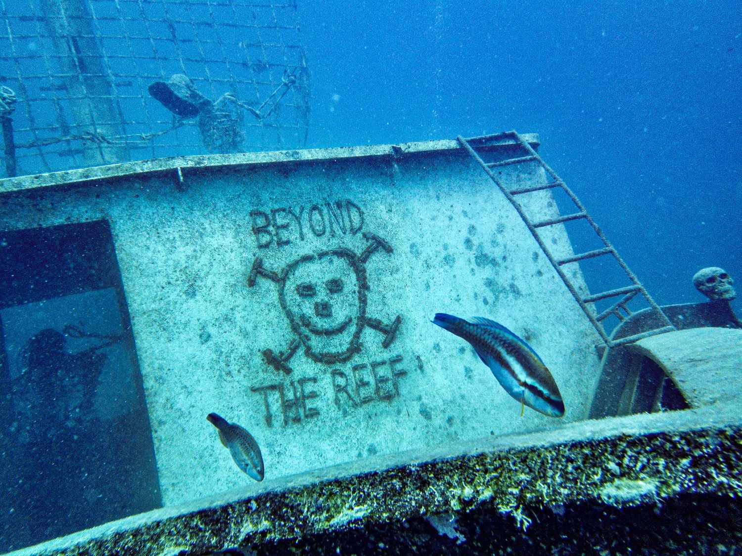 The Beyond The Reef logo engraved on the BVI Art Reef