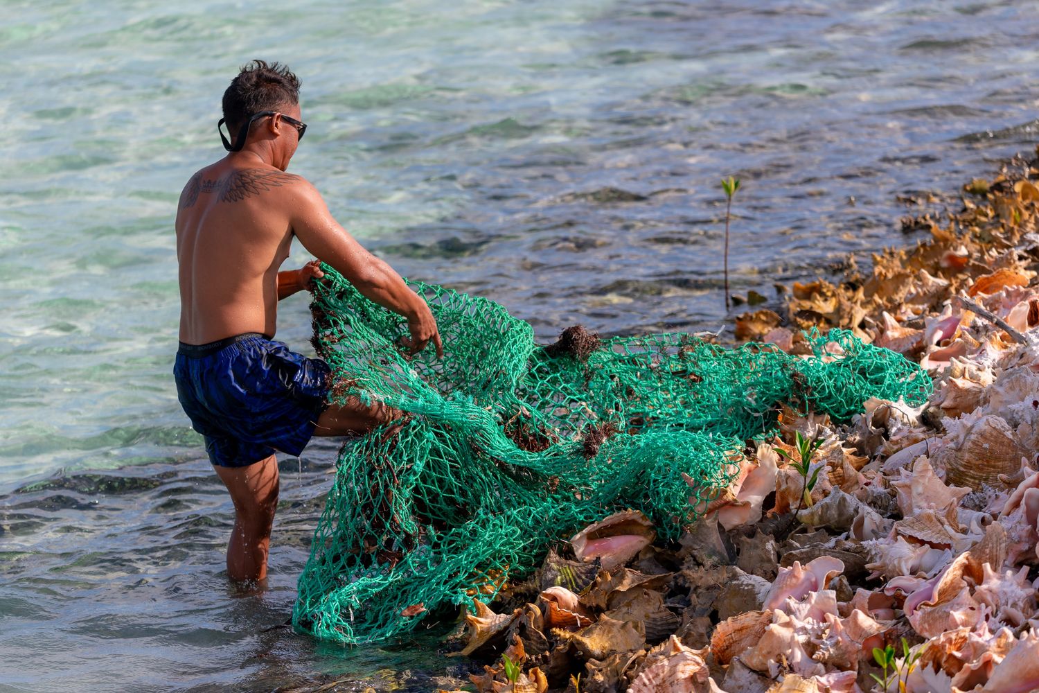 Clearing marine debris along a BVI shoreline