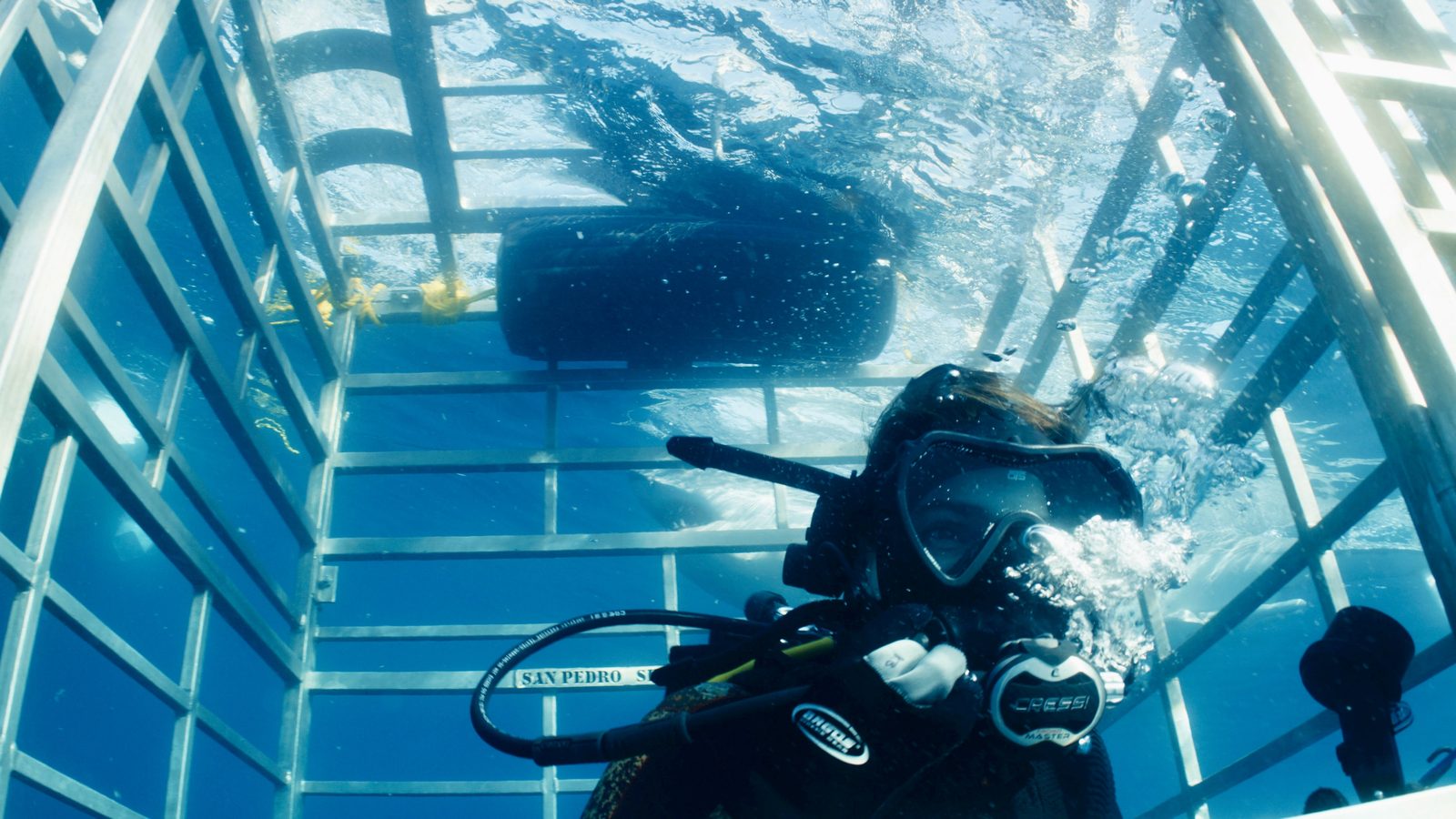 A mako shark filmed underwater for Shark Week