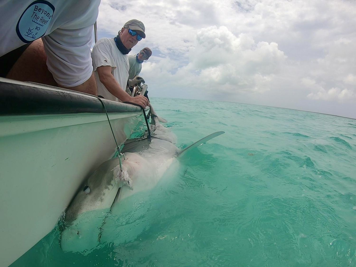 Beyond The Reef shark tagging program in the British Virgin Islands