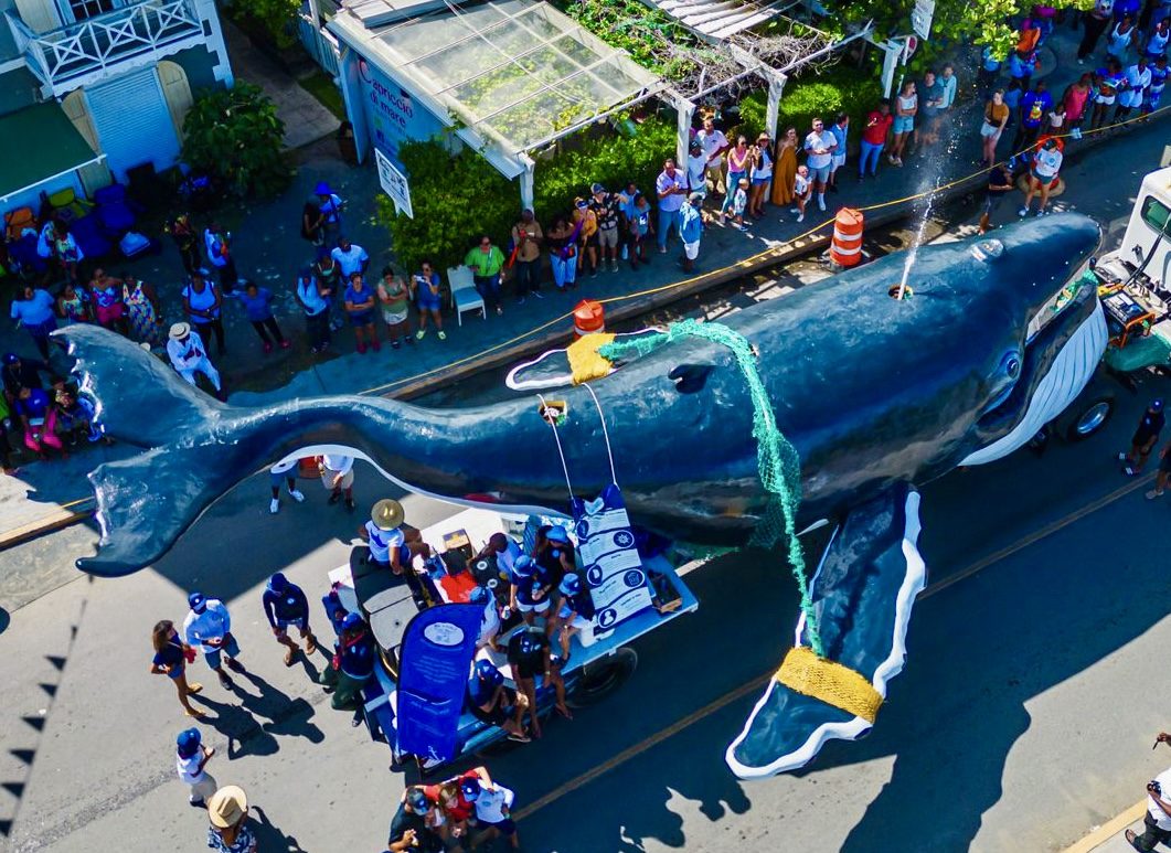 Beyond The Reef's life-size humpback whale sculpture, built as a floating classroom
