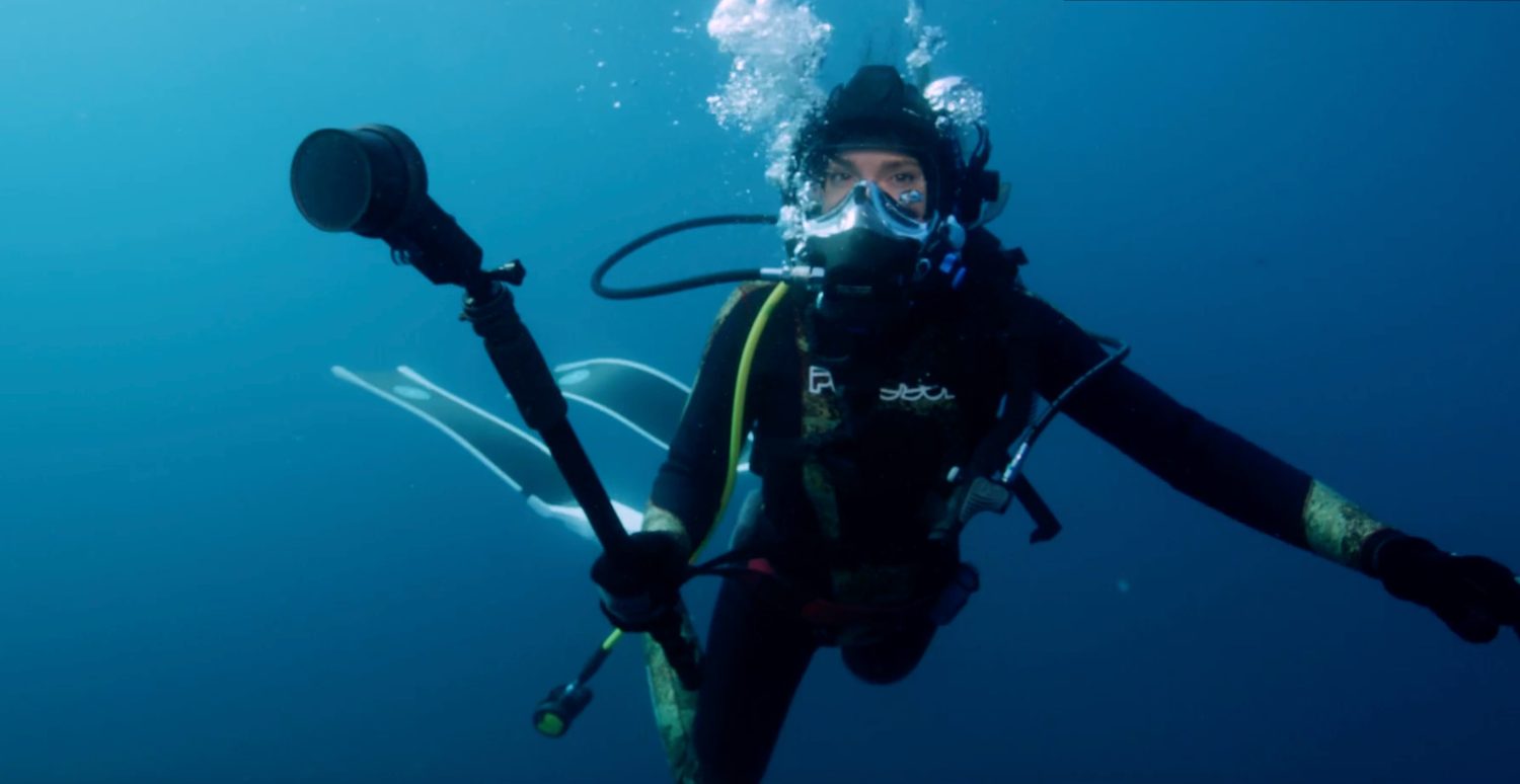 Underwater filming with a camera rig as a ray glides past